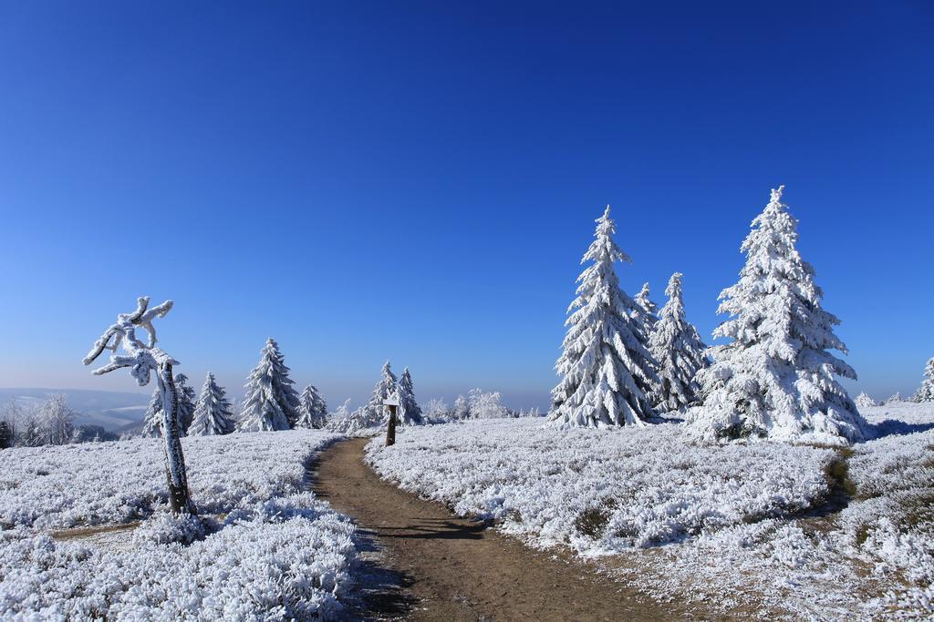 Hapimag Ferienwohnungen Winterberg Zewnętrze zdjęcie