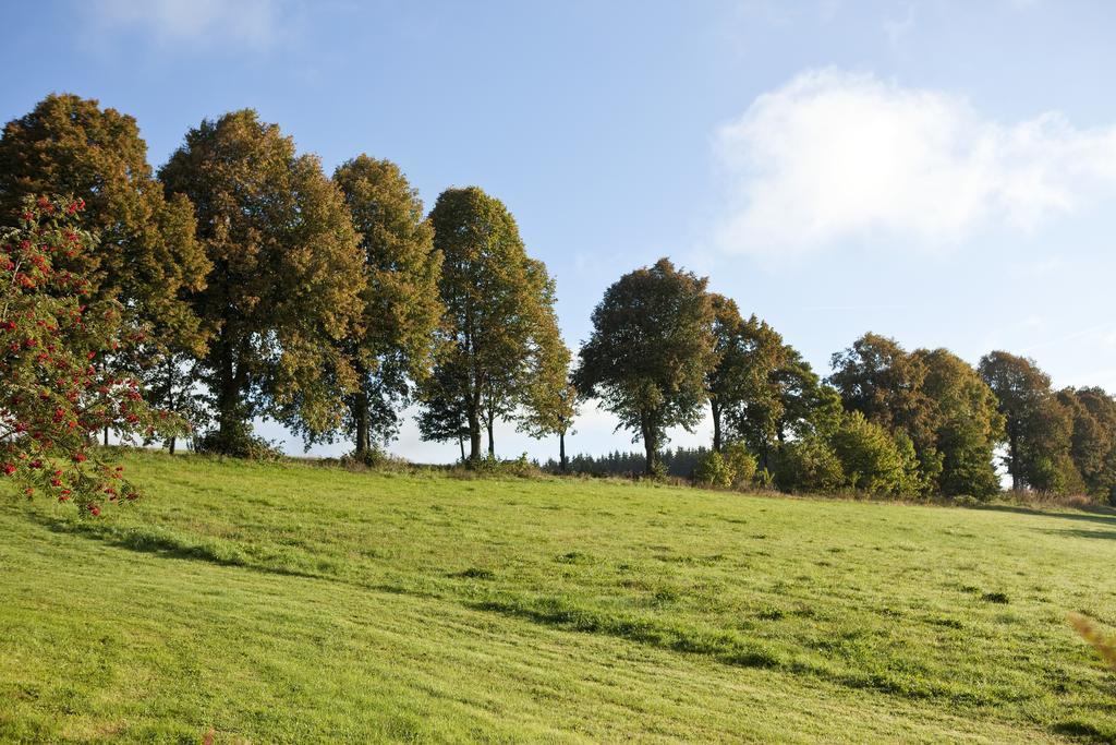 Hapimag Ferienwohnungen Winterberg Zewnętrze zdjęcie